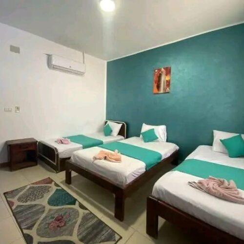 51aa3ae8-3f3d-41d4-bccc-d585940f2f8e