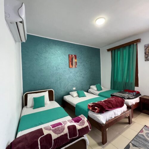 cc1e6491-38ab-4b5a-aa7b-34a9f0c9f753